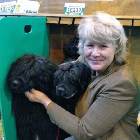 joint pain stomach lesley