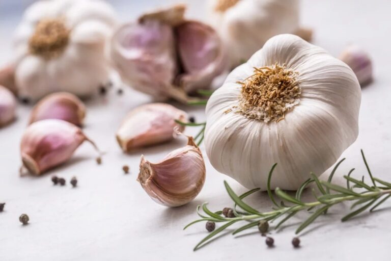 Allium Intolerance | Symptoms and Testing | YorkTest