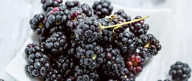 10 Überraschende Lebensmittel, die Blähungen und Gase verursachen können