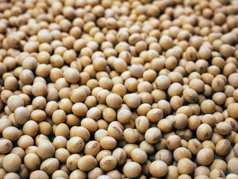 Sensitive to Soy? Here's How to Determine If You Have a Soy Allergy
