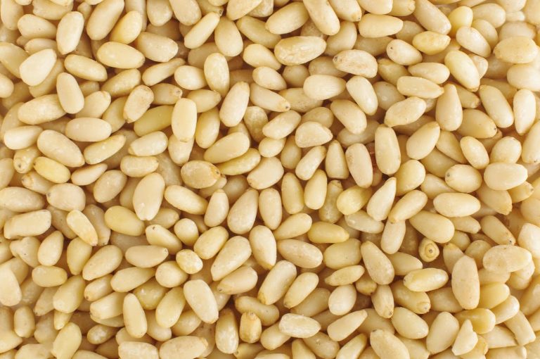 Pine Nuts