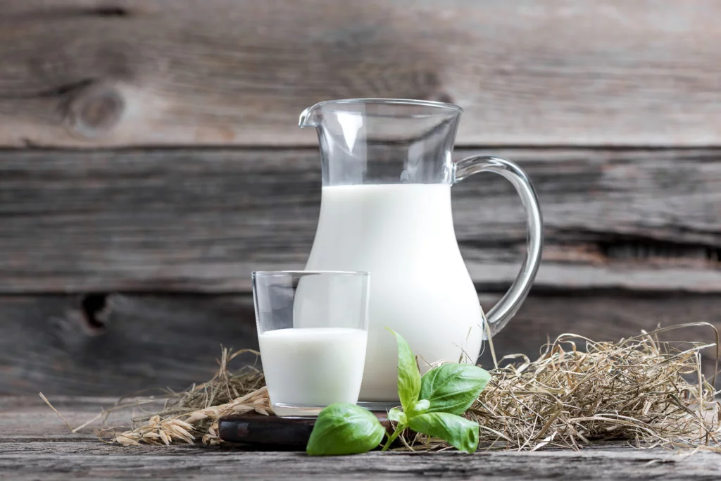 Fresh milk in glasses in front of a rustic vintage background