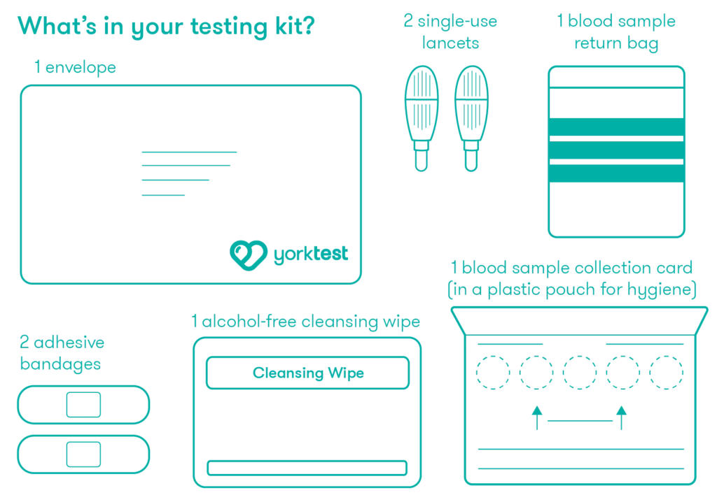 Graphic showing test components included in the YorkTest Food Allergy Test