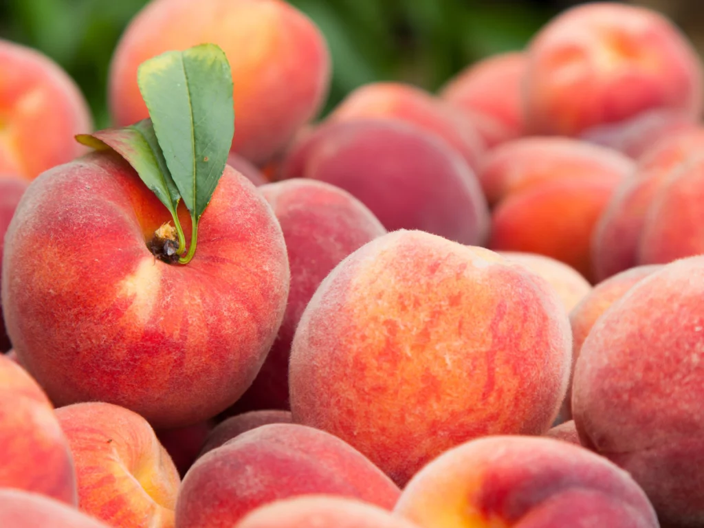 Peach Allergy: Pinpointing the Symptoms, Cross-Reactive Foods, Tests and Treatment Options