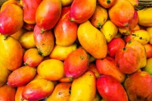 Mango Allergy – Common Symptoms & Reactions