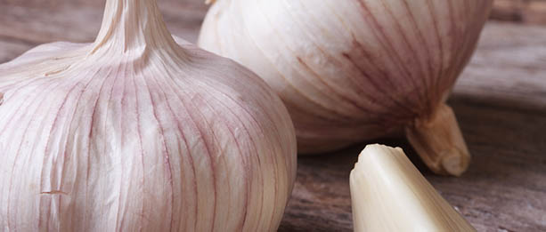 garlic