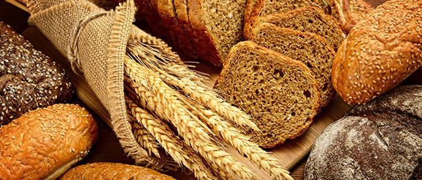 wheat & bread