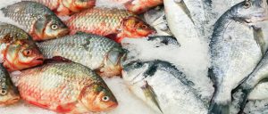Is Fish Allergy or Intolerance Real?