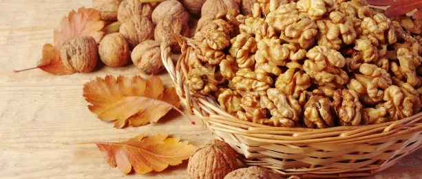 Tree Nut Allergy: List of Allergens, Common Symptoms, and Treatment Options