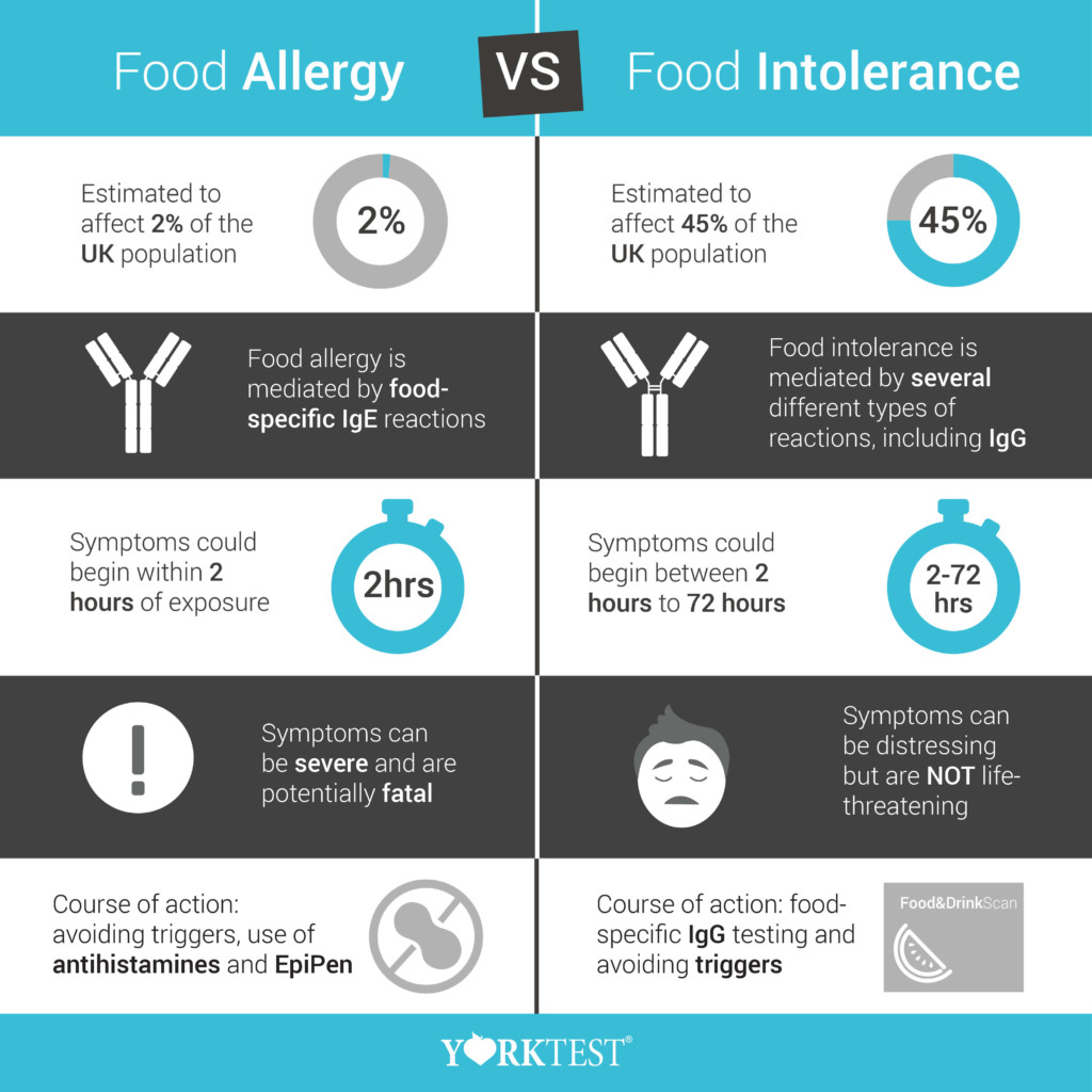 Do I have a Food Allergy or Intolerance? | YorkTest