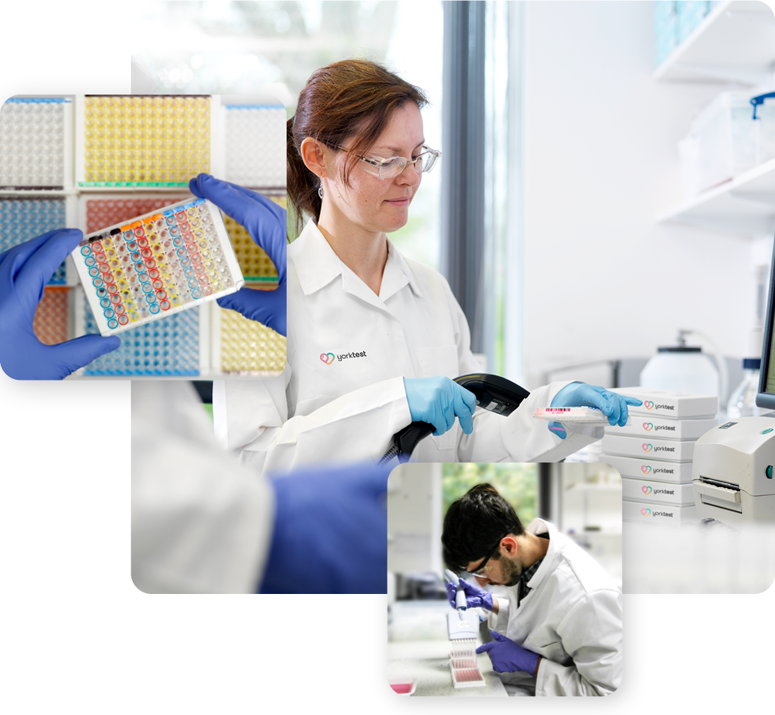 yorktest lab research
