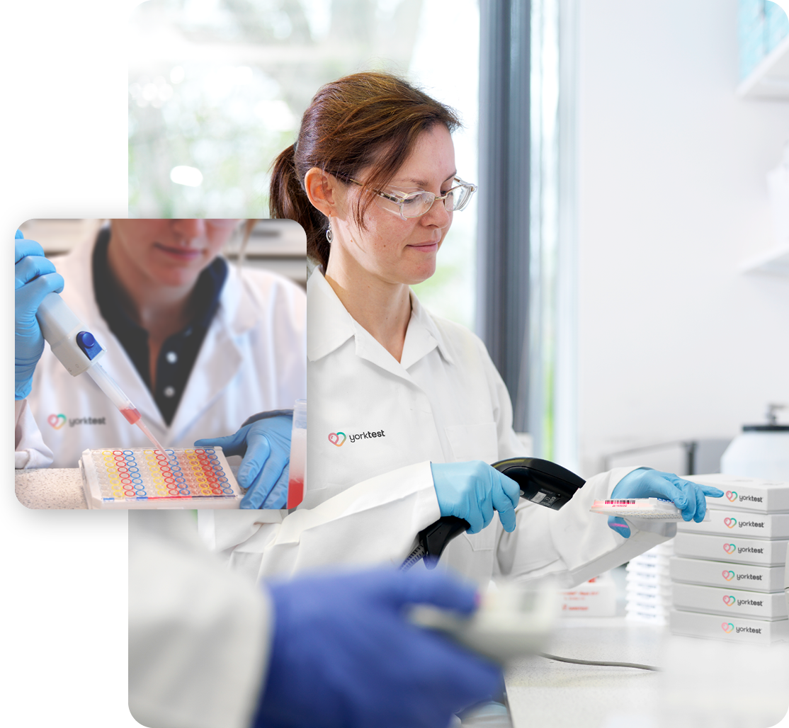 yorktest lab