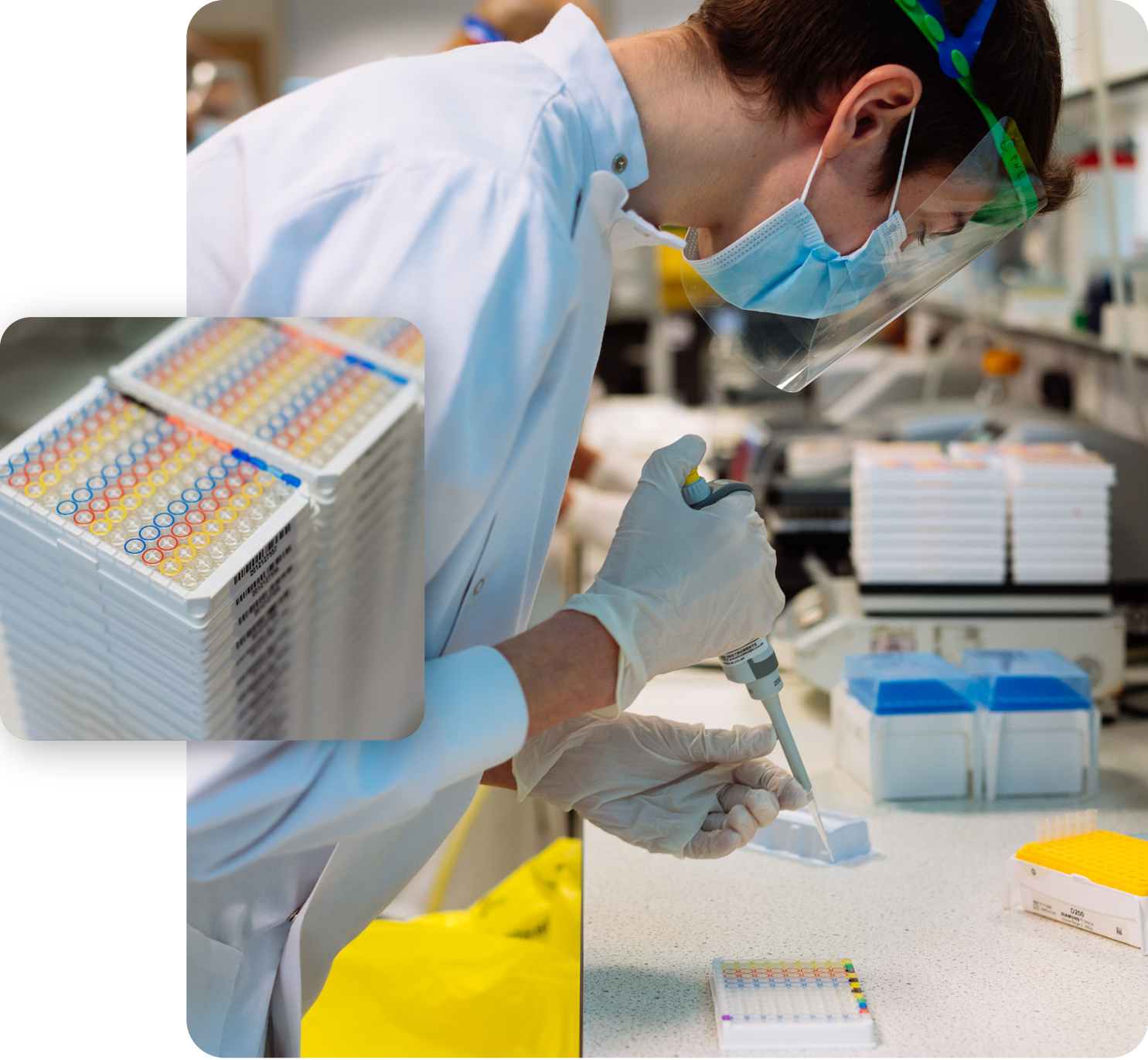 yorktest lab