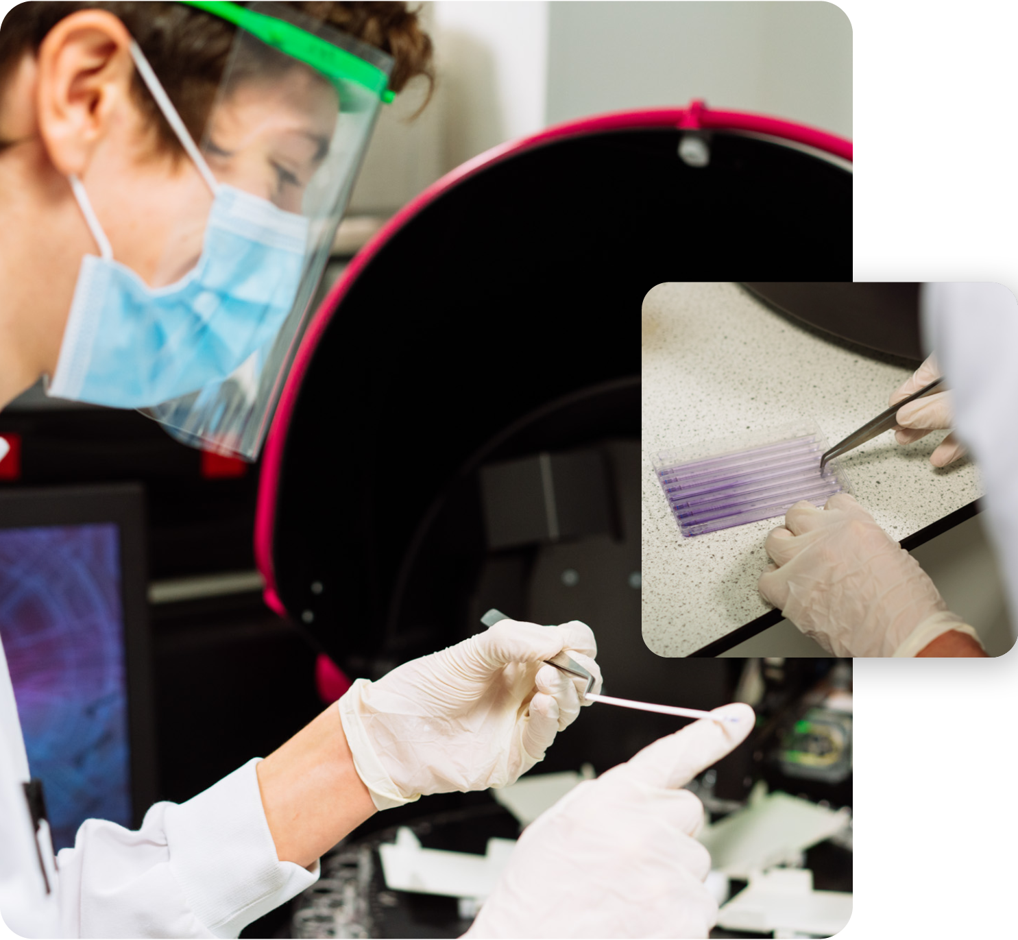 yorktest labwork