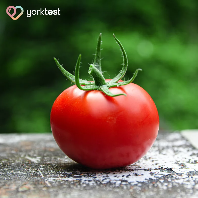 Tomato Intolerance | What are the signs &#038; how to manage symptoms