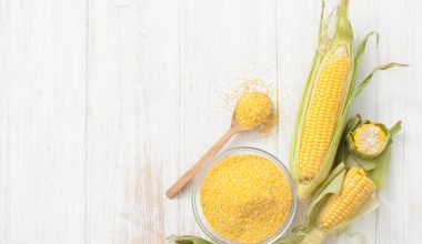 Corn grain and chopped corn on the cob on a white Corn grits for cereal and cobs of raw corn on a white table. Place for text.