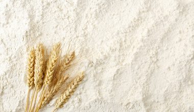 flour background wheat ears on flour surface, full frame